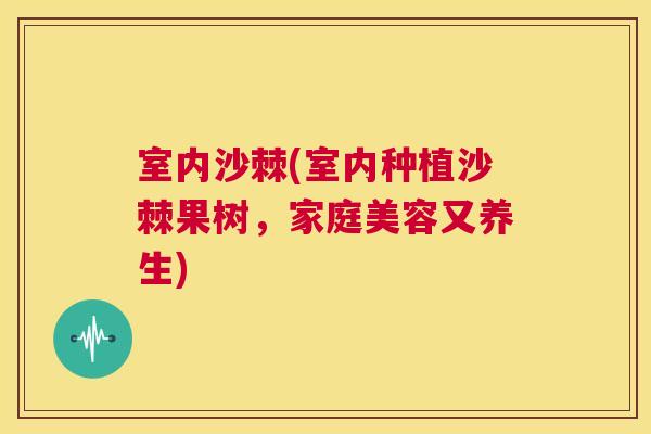 室内沙棘(室内种植沙棘果树，家庭美容又养生)