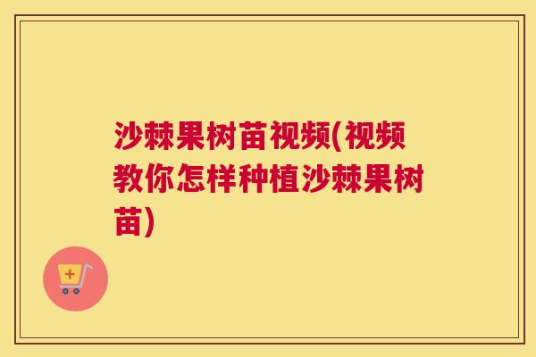 沙棘果树苗视频(视频教你怎样种植沙棘果树苗)