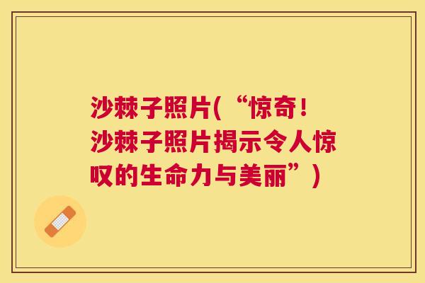 沙棘子照片(“惊奇！沙棘子照片揭示令人惊叹的生命力与美丽”)