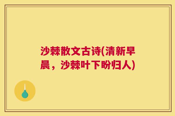 沙棘散文古诗(清新早晨，沙棘叶下盼归人)