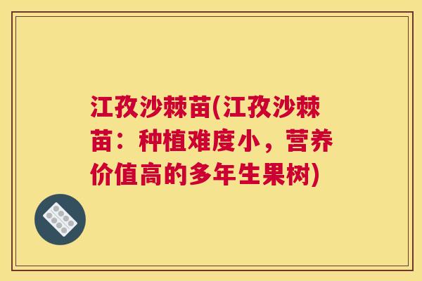 江孜沙棘苗(江孜沙棘苗：种植难度小，营养价值高的多年生果树)