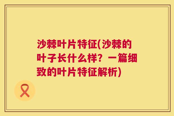 沙棘叶片特征(沙棘的叶子长什么样？一篇细致的叶片特征解析)