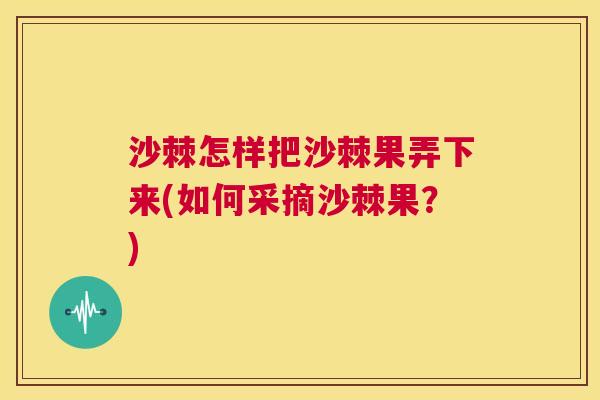 沙棘怎样把沙棘果弄下来(如何采摘沙棘果？)