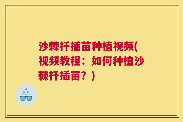 沙棘扦插苗种植视频(视频教程：如何种植沙棘扦插苗？)