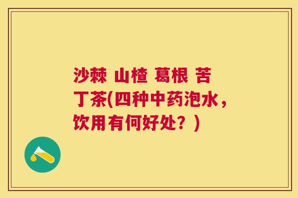 沙棘 山楂 葛根 苦丁茶(四种中药泡水，饮用有何好处？)