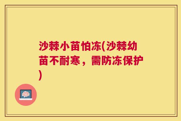 沙棘小苗怕冻(沙棘幼苗不耐寒，需防冻保护)