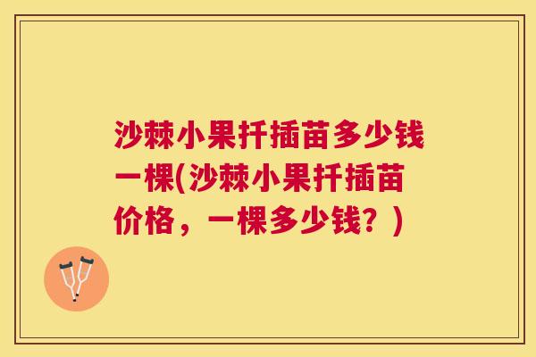 沙棘小果扦插苗多少钱一棵(沙棘小果扦插苗价格，一棵多少钱？)