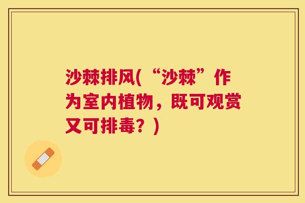 沙棘排风(“沙棘”作为室内植物，既可观赏又可排毒？)